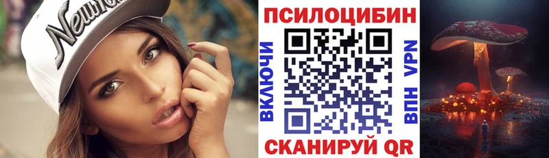 где купить KRAKEN маркетплейс Галлюциногенные грибы Cubensis Болгар